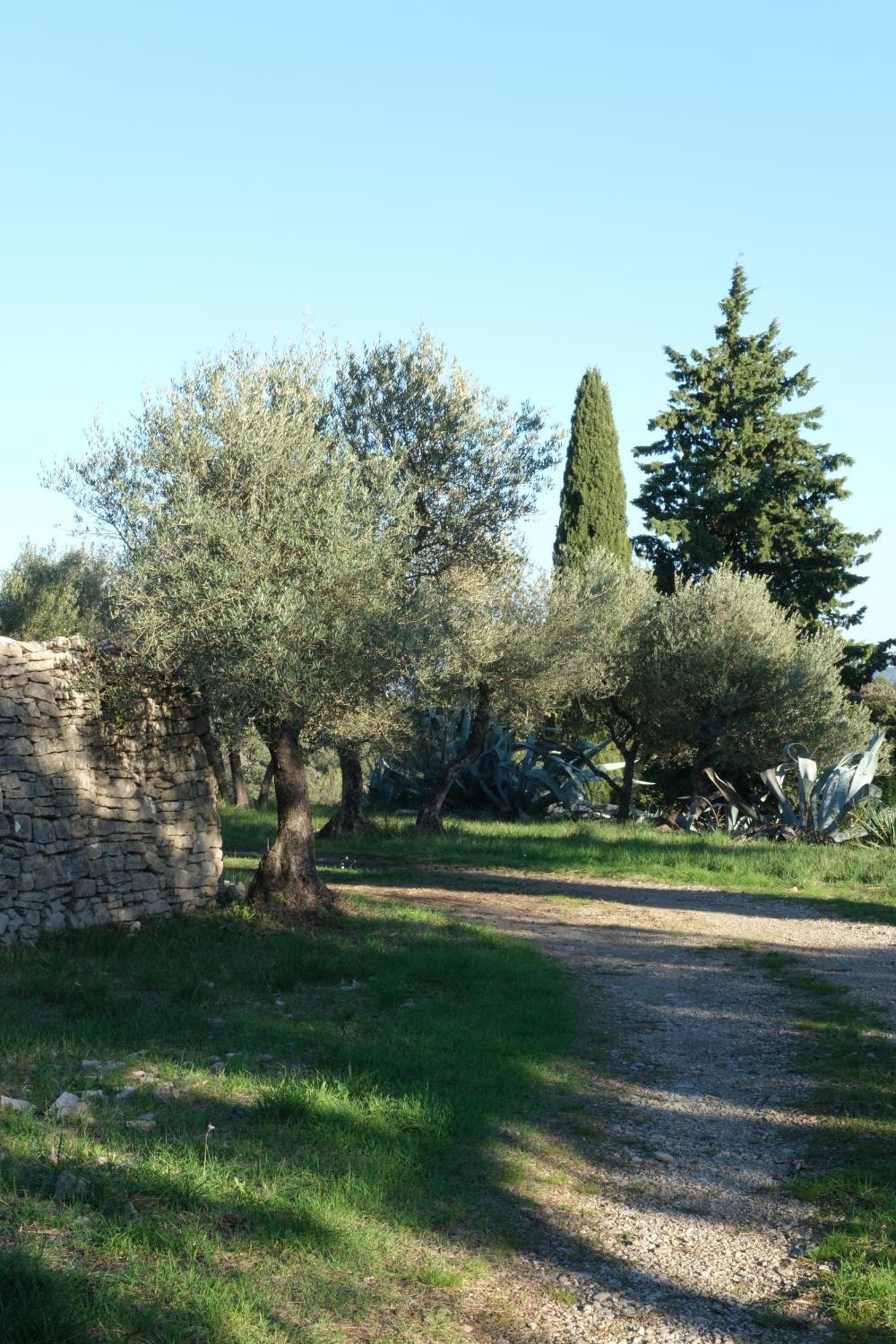 Au Domaine De Baubiac Corconne